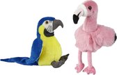 Ravensden - Knuffeldieren set papegaai/flamingo pluche knuffels 18 cm