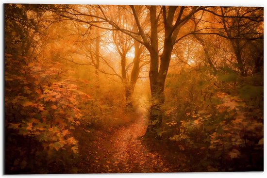 Dibond - Zon door Hefst Bos - 60x40 cm Foto op Aluminium (Met Ophangsysteem)