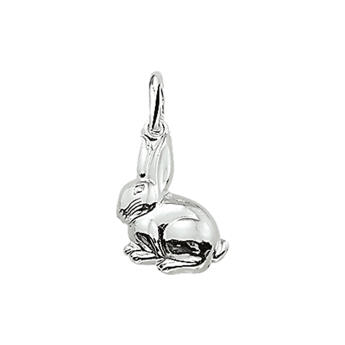 Mi Zalini Bedel Zilver K1003792