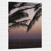 WallClassics - Muursticker - Takken van Boom op Strand met Kleine Zon - 80x120 cm Foto op Muursticker