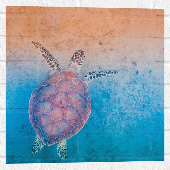 WallClassics - Muursticker - Schildpad Zwemt naar het Strand - 50x50 cm Foto op Muursticker