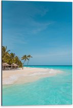 WallClassics - Dibond - Tropisch Strand met Palmbomen - 40x60 cm Foto op Aluminium (Wanddecoratie van metaal)