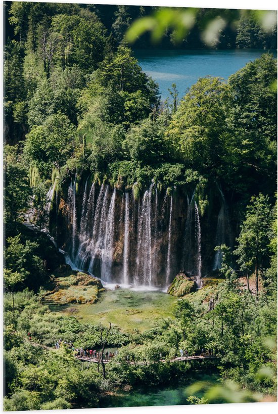WallClassics - Acrylglas - Watervallen vanuit Bomen naar Beneden - 70x105 cm Foto op Acrylglas (Wanddecoratie op Acrylaat)