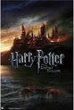 Harry Potter and the Deathly Hallows poster - film - Ron - Hermione - 61 x 91.5 cm