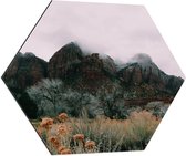 WallClassics - Dibond Hexagon - Graslandschap bij Bergen - 70x60.9 cm Foto op Hexagon (Met Ophangsysteem)