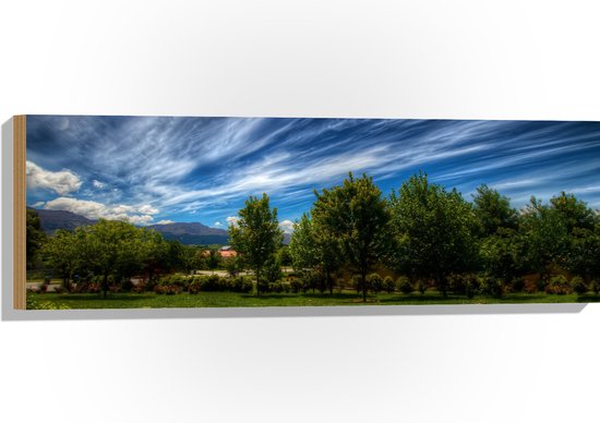 WallClassics - Hout - Landschap van Gras en Bomen - 90x30 cm - 12 mm dik - Foto op Hout (Met Ophangsysteem)