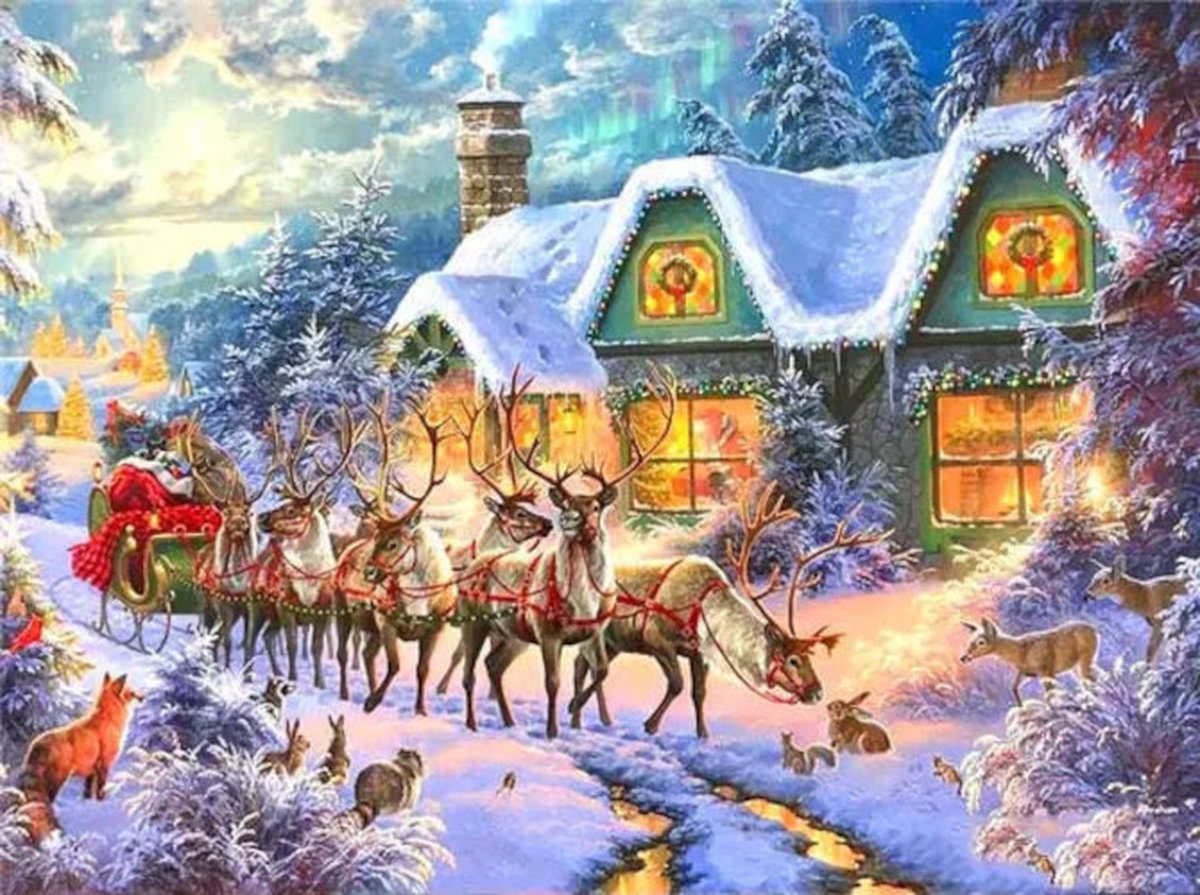 Diamond painting kerst slee dieren winterhuis 30x40cm vierkante steentjes