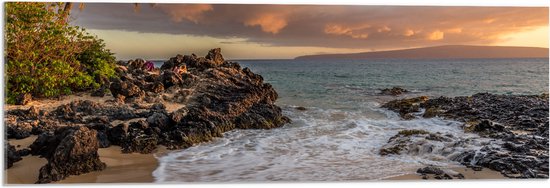 WallClassics - Acrylglas - Tropisch Strand - 90x30 cm Foto op Acrylglas (Met Ophangsysteem)