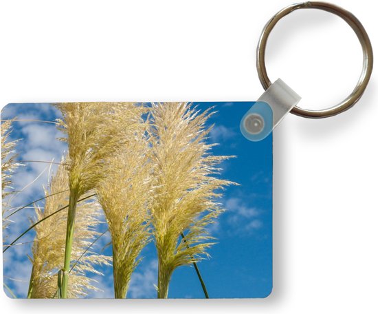 Porte-clés - Plantes - Herbe de la pampa - Air - Cadeaux à distribuer - Plastique