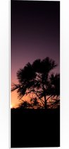 WallClassics - PVC Schuimplaat - silhouet van Zonsondergang achter Boompje - 20x60 cm Foto op PVC Schuimplaat (Met Ophangsysteem)