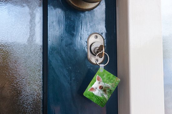 Porte-clés - Cochon - Animaux - Porcelet - Distribution de cadeaux - Plastique