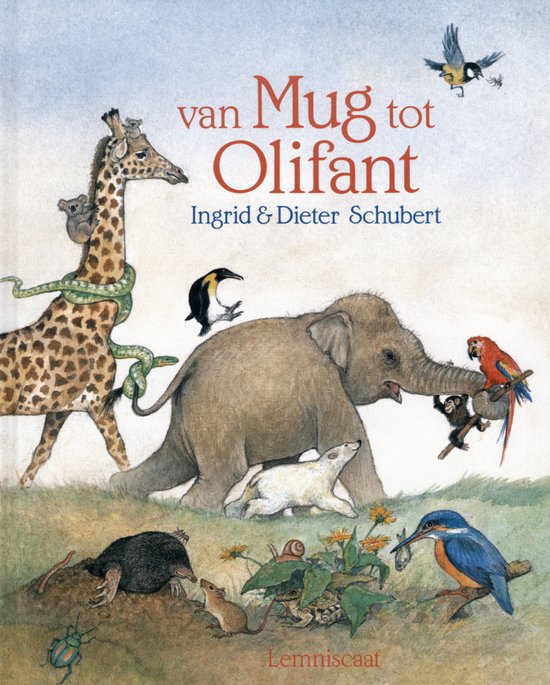 Cover van het boek 'Van mug tot olifant' van Dieter Schubert en Ingrid Schubert