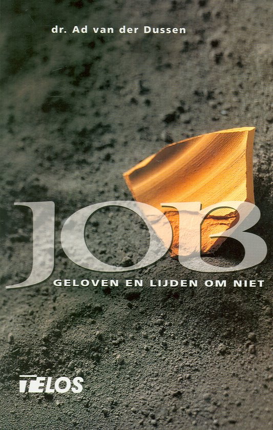 Cover van het boek 'Job' van A. van der Dussen