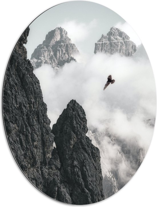WallClassics - Dibond Ovaal - Vogel Vliegend tussen Bergen (zwart/wit) - 60x80 cm Foto op Ovaal (Met Ophangsysteem)