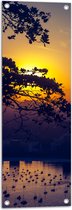 WallClassics - Tuinposter – Zon achter Takken - 30x90 cm Foto op Tuinposter  (wanddecoratie voor buiten en binnen)