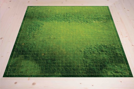 Afbeelding van het spel Battlemap - Flowing Fields (80x80cm) 1 inch vakjes