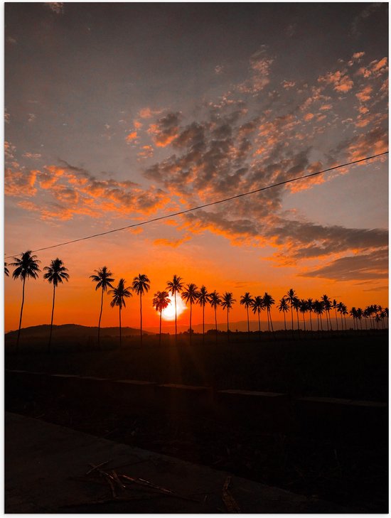 WallClassics - Poster (Matte) - Coucher de soleil à travers les Palmiers le long de la route - 75x100 cm Photo sur Papier Poster avec un aspect Mat