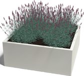 MySteel Gepoedercoat staal plantenbak Miami 100 x B100 - Hoogte:  30 L Kleur: RAL9005 mat (zwart)
