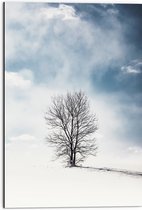 WallClassics - Dibond - Kale Eenzame Boom in Sneeuwlandschap - 50x75 cm Foto op Aluminium (Wanddecoratie van metaal)