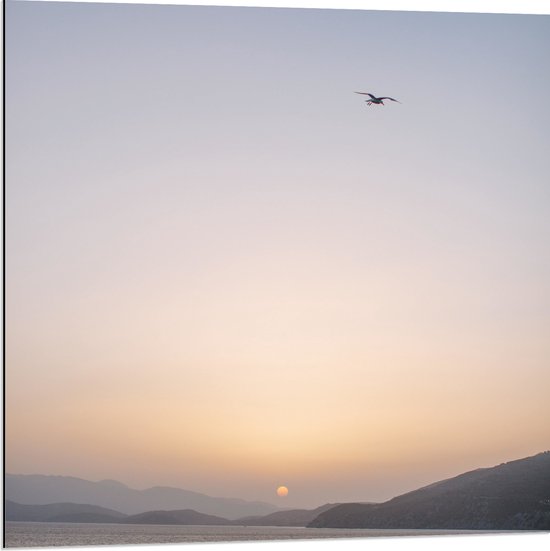 WallClassics - Dibond - Vogel boven de Zee met Bergen bij Maan - 80x80 cm Foto op Aluminium (Wanddecoratie van metaal)