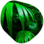 Organische Wanddecoratie - Kunststof Muurdecoratie- Organisch Schilderij - Palmbladen in de jungle- 40x40 cm - Asymmetrische spiegel vorm op kunststof