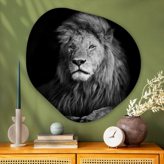 Décoration murale Organique - Décoration Décoration murale Plastique - Peinture Organique - Animaux Sauvages - Lion - Noir - Wit- 90x90 cm - Forme Miroir Organique sur Plastique