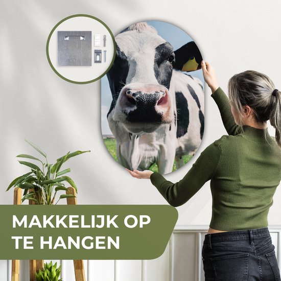 Ovale Mural - Ovale Mural - Décoration murale Plastique - Peinture Ovale - Vache - Pâturage - Nature - Animaux - Herbe - 60x90 cm - Forme Miroir Ovale sur Plastique