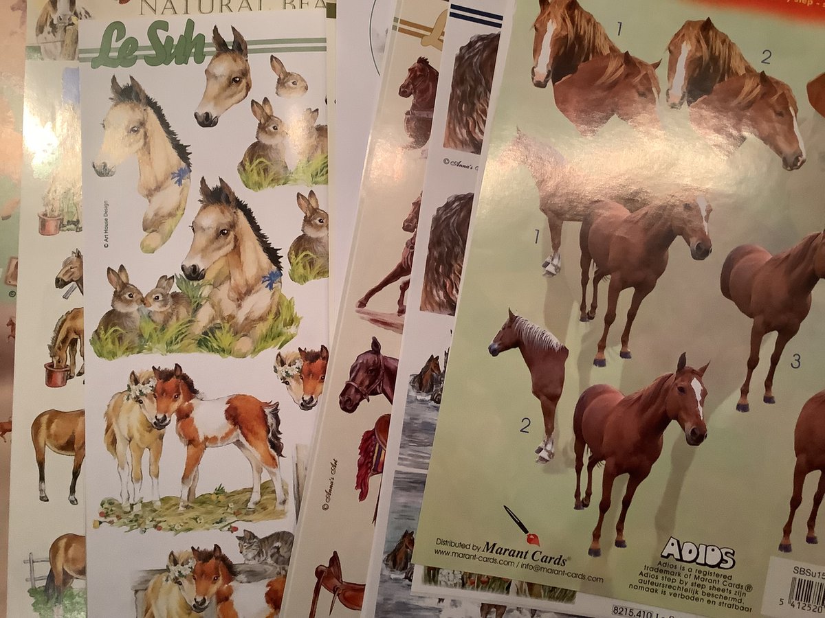knipvellen assortiment thema "Paarden"