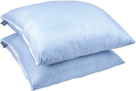 FAM HOME Zachte Microvezel Kussen 40x70 cm Set van 2