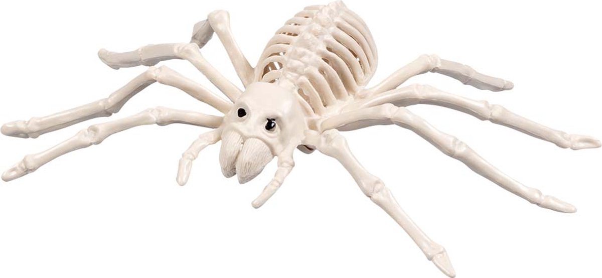 Halloween Spinnenskelet.