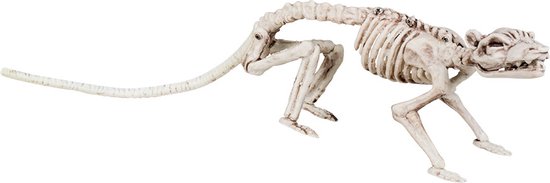 Boland - Decoratie Skelet rat - Horror - Horror