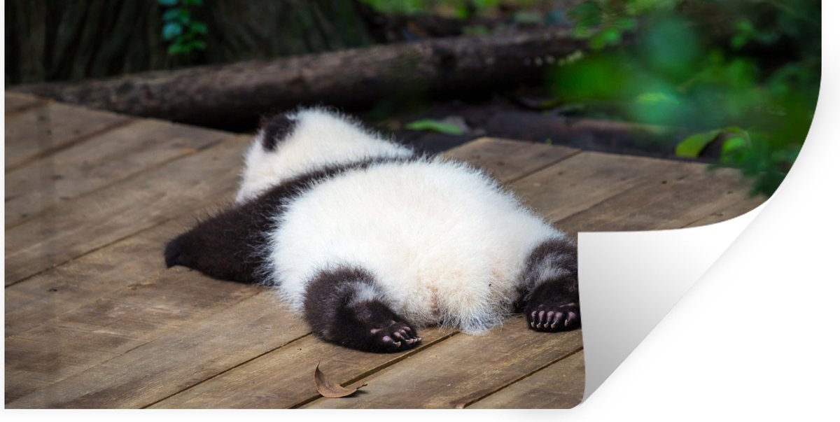 Muurstickers - Sticker Folie - Dier - Panda - Slapen - 160x80 cm - Plakfolie - Muursticker