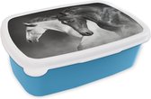 Lunchbox Blauw - Lunchbox - Boîte à pain - Paarden - Animaux - Zwart - Wit - Portrait - 18x12x6 cm - Enfants - Garçon