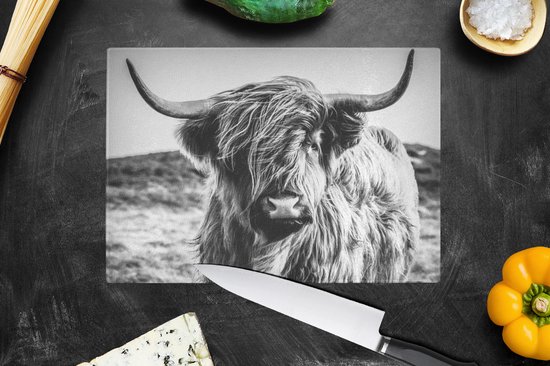 Planche à découper en Verres - 28x20 - Scottish Highlander - Nature - Vache - Zwart - Wit - Planches à découper en Glas