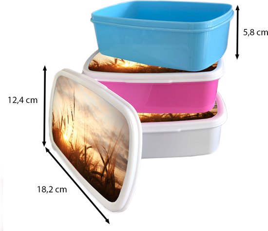 Broodtrommel Roze - Lunchbox - Brooddoos - Riet - Gras - Zonsondergang - Natuur - Horizon - 18x12x6 cm - Kinderen - Meisje