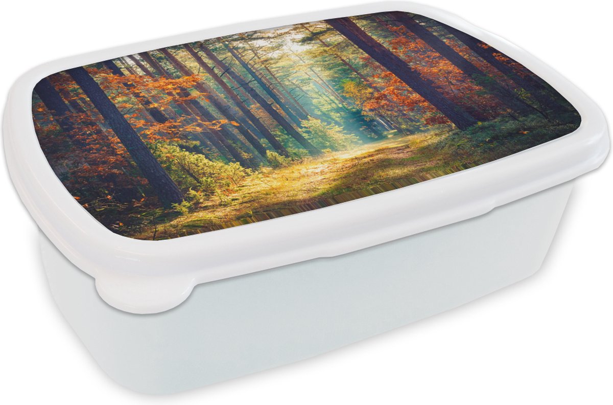 Broodtrommel Wit - Lunchbox - Brooddoos - Bos - Zon - Natuur - Herfst - 18x12x6 cm - Volwassenen