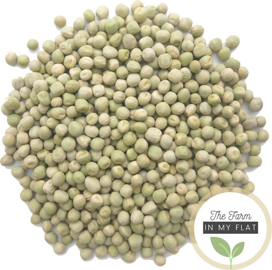 Scheuten Erwten scheuten/ Peashoots Kiemzaden 500 g | Green Peas | Microgreen ...