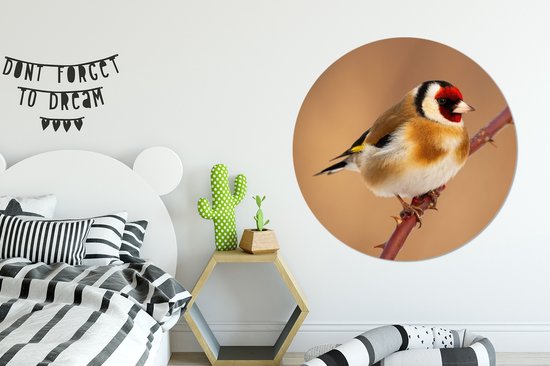 Cercle Mural - Cercle Mural - Chardonneret - Vogel - Animaux - Aluminium - Dibond - 140x140 cm - Intérieur et Extérieur