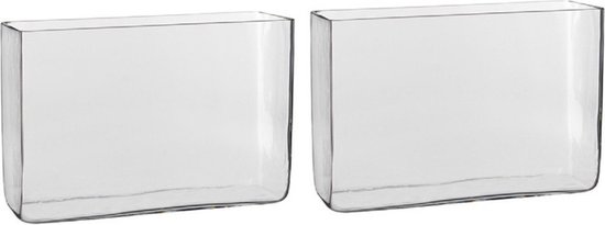 2x Hoge rechthoekige vaas transparant glas 30 x 10 x 20 cm - Accubak - Glazen vazen - Woonaccessoires