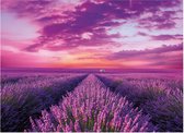 Clementoni - puzzel - Lavender Field - 1000 stukjes