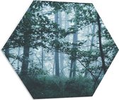 WallClassics - PVC Schuimplaat Hexagon  - Lichte Mist in een Groen Bos - 70x60.9 cm Foto op Hexagon (Met Ophangsysteem)