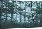 WallClassics - Dibond - Lichte Mist in een Groen Bos - 150x100 cm Foto op Aluminium (Met Ophangsysteem)