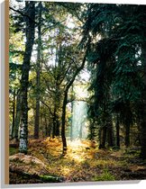 WallClassics - Hout - Lichtplek tussen Bomen - 60x80 cm - 12 mm dik - Foto op Hout (Met Ophangsysteem)