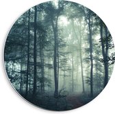 WallClassics - Cercle mural en panneau de mousse PVC - Brouillard dans une forêt sombre - Photo 40x40 cm sur cercle mural (avec système d'accrochage)