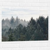 WallClassics - Muursticker - Boomtoppen van het Bos in de Winter - 80x60 cm Foto op Muursticker