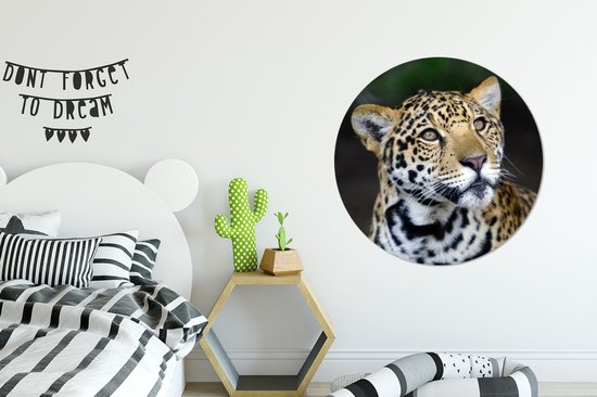 Wallpaper Circle - Léopard - Tête - Forêt - 100x100 cm - Wall Circle XXL