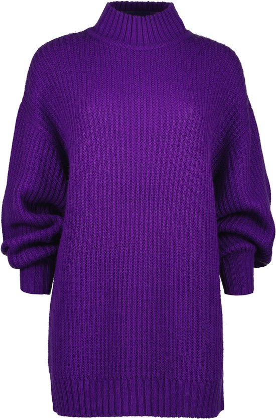 Raizzed X Moise Mini Dress SOPHIE Dames jurk Maat L bol