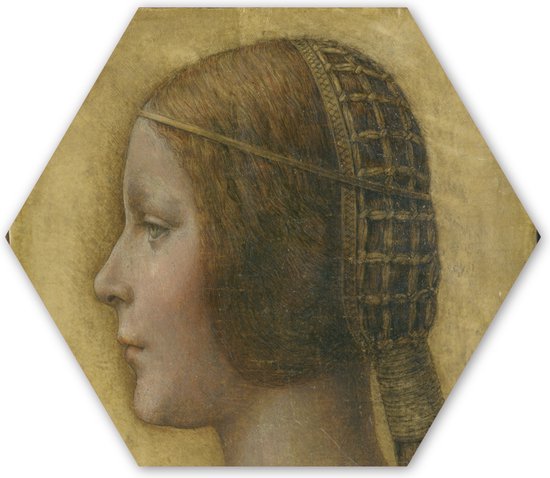 Hexagon wanddecoratie - Kunststof Wanddecoratie - Hexagon Schilderij - La Bella Principessa - Leonardo da Vinci - 120x103 cm