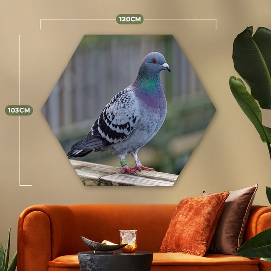 Hexagon wanddecoratie - Kunststof Wanddecoratie - Hexagon Schilderij - Duif - Vogel - Paars - Veren - 120x103 cm