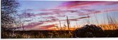 WallClassics - Dibond - Roze Wolken in de Lucht - 90x30 cm Foto op Aluminium (Met Ophangsysteem)